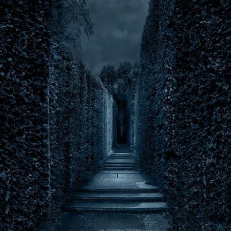 Creepy Woods, Gothic Background, Labyrinth Garden, My Rules, Slytherin Aesthetic, Night Forest, Gothic Aesthetic, Dark Gothic, Photoshop Backgrounds