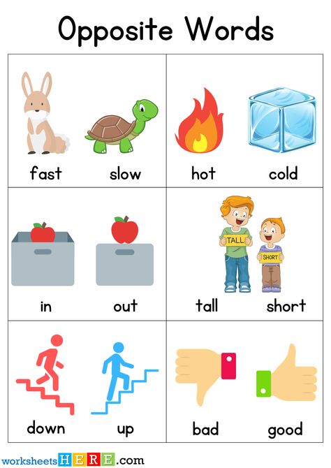 Opposite Words With Pictures, Opposite Words Worksheet, Opposite Worksheet, Word Opposite, Opposite Words For Kids, Opposites For Kids, Opposite Words List, Opposites Worksheet, Rhyming Words Worksheets