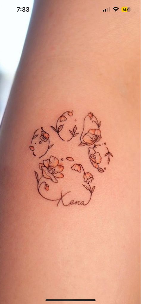 Pom Pom Tattoo, Pomeranian Tattoo Ideas, Maltipoo Tattoo Ideas, Pom Dog Tattoo, Small Pomeranian Tattoo, Pomeranian Tattoo Outline, Tennis Ball Tattoo Dog, Pomeranian Tattoo, Corgi Tattoo Minimalist