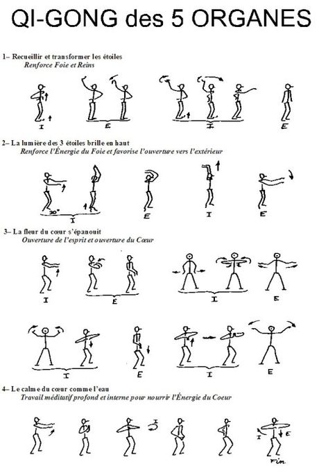 Qi Gong des 5 organes (1/2) Tai Chi Exercise, Qi Gong, Martial Art, Gongs, Tai Chi, Acupuncture, Kung Fu, Tao, Gym