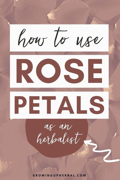 Rose Tincture, Rose Petals In Water, Petals In Water, Rose Vinegar, Herb Oil Recipe, Rose Petal Recipes, Rose Petal Uses, Herbal Preparations, Face Wash Recipe