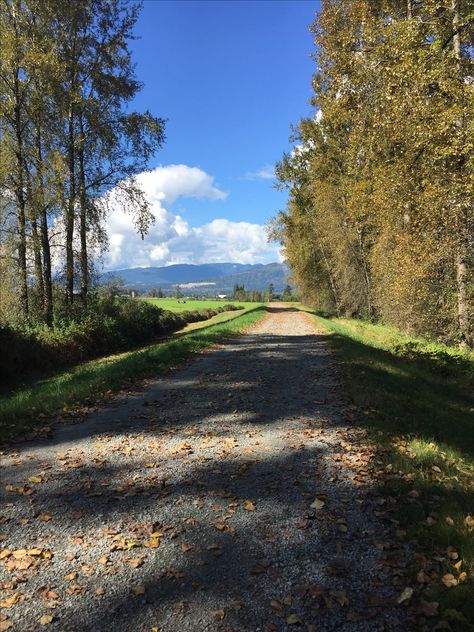 Fall season in Maple Ridge BC Maple Ridge, Fall Season, Country Roads, Road, Photography, Travel