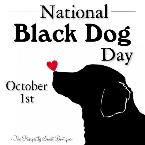 October 1st: National Black Dog Day! #Dogs #NationalBlackDogDay #BlackDogs #BlackDogAppreciation #October Black Dog Day, Black Instagram, National Pet Day, Dog Day, October 1st, Pet Holiday, Day Quotes, Black Dog, Greyhound