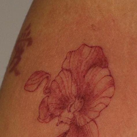 Carley Akahoshi on Instagram: "Red orchid for Alexia ❤️ thank you for your trust!!  Took 1 hour  Done @strawbabyla   Pictured: tattoo of an orchid on the right upper arm done in red ink   #orchidtattoo#redtattoo#redtattoos#floraltattoo#bayareatattoo#sftattooartis#latattooartist" Red Orchid, Red Orchid Tattoo, Orchid Tattoo, Red Orchids, Upper Arms, Red Ink Tattoos, Favorite Makeup Products, Red Ink, Ink Tattoo