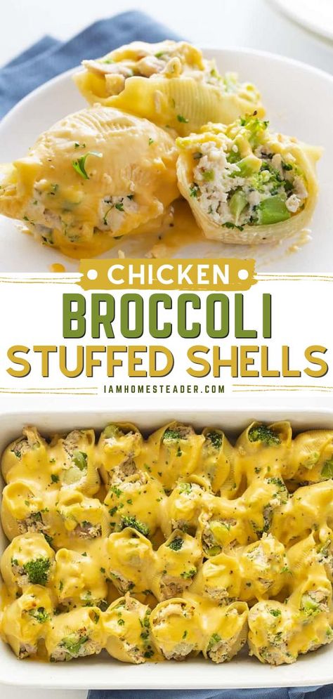 Broccoli Cheddar Stuffed Shells, Dinner Idea With Shredded Chicken, Broccoli Cheese Stuffed Shells, Shells And Broccoli Recipe, Shredded Chicken Stuffed Shells, Stuffed Shells Chicken Broccoli, Chicken Broccoli Stuffed Shells, Chicken And Stuffing Stuffed Shells, Chicken Shells Stuffed