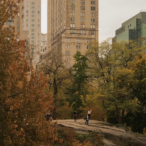 Ethan Barber, Amber Sky, Fall Mood Board, Autumn In New York, Nyc Aesthetic, New York Aesthetic, Season Of The Witch, Dream City, Best Seasons