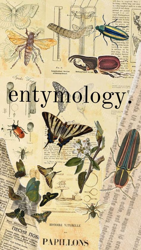 #collage #art #science #insects #bugs #entymology Bug Collage, Insects Aesthetic, Insect Collage, Entomology Aesthetic, Advanced Higher Art, Bug Art, Ni Idea, Collage Ideas, Art Science