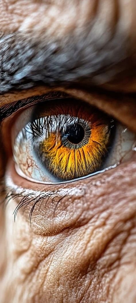 Wrinkles Reference, Eye Reference, Eyes Artwork, Background 4k, Human Eyes, Ninja Art, Woman Artwork, Photos Of Eyes, Windows To The Soul