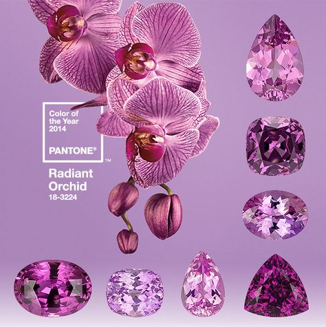 Radiant Orchid - 2014 Pantone Color of the Year   Offer your customers fashion-forward colors & keep current on color trends by exploring the beautiful variety of color gems available. Sapphire, Spinel, Kunzite, and other gems share Radiant Orchid's "radiant exuberence" of pink and purple tones & hues. Orchid Color, Pantone Color Of The Year, Radiant Orchid, Design Milk, Color Of The Year, Pantone Color, Shades Of Purple, The Words, Color Trends