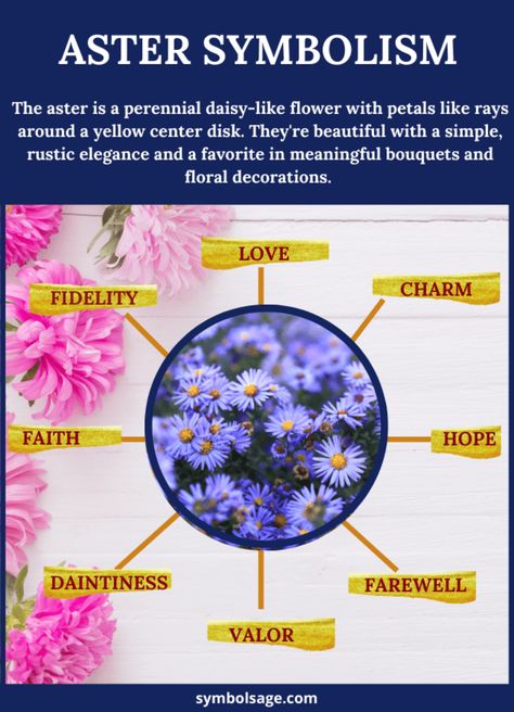 Aster – Meaning and Symbolism - Symbol Sage Aster Meaning, Aster Flower Meaning, Aster Tattoo, Aster Flowers, Halloween Spell Book, September Birth Flower, Freesia Flowers, Aster Flower, Healing Garden