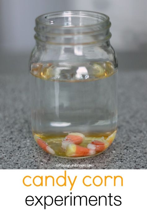 Candy Corn Science Experiments for Kids! Perfect for Halloween! Candy Corn Science, Candy Experiments, Fun Experiments, Science Experiments For Kids, Halloween Science, Experiments For Kids, Halloween Preschool, Daycare Ideas, Kindergarten Science