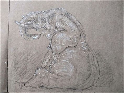 Study of a young african elephant sitting in the mud. Elephant Sitting, Mud Art, Illustration Sketchbook, Elephant Drawing, Animal Drawing, My Sketchbook, Elephant Art, African Wildlife, African Elephant