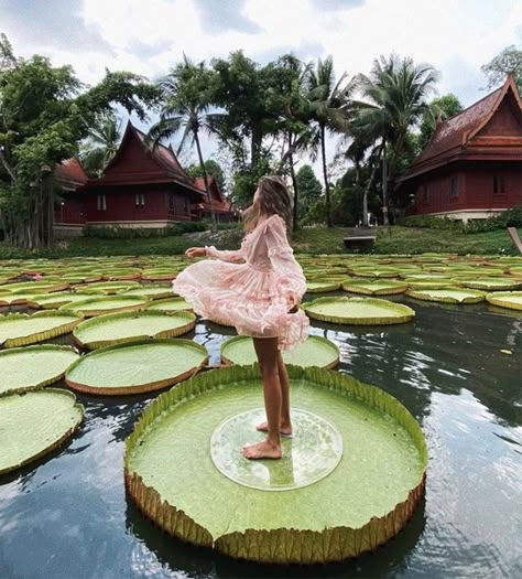 Giant Lotus, Women Relaxing, Thailand Pictures, Thailand Outfit, Udon Thani, Thai Travel, Phuket Travel, Thailand Honeymoon, Thailand Vacation