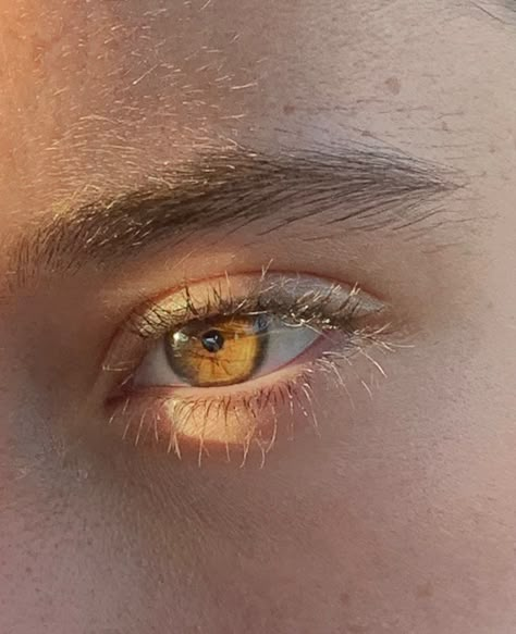 Golden Eye Color, Golden Amber Eyes Aesthetic, Golden Amber Eyes, Golden Eyes Aesthetic, Golden Boy Aesthetic, Honey Colored Eyes, Caramel Eyes, Golden Brown Eyes, Auburn Eyes