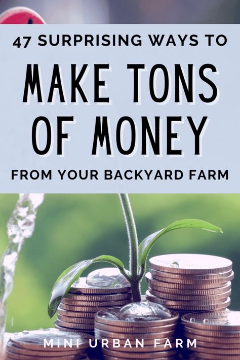 Homestead Essentials, Mini Farms, Farm Backyard, Homesteading Diy Projects, Small Farming, Homestead Animals, Budgeting Ideas, Commercial Farming, Micro Farm