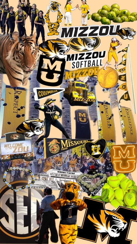 Mizzou Wallpaper, Mizzou Aesthetic, Missouri Tigers, Softball, Tigers, Missouri, Columbia, Mood Board, Career