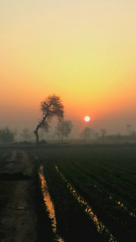 Morning Vibes Snap, Village Vibes, Punjabi Culture, Islamic Background, Beautiful Scenery Photography, Village Photos, Punjab Pakistan, Sunrise Pictures, Png Art