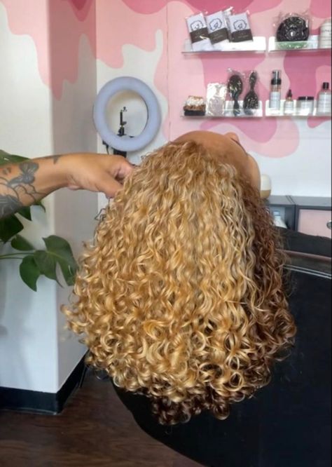 Blonde Highlights On Natural Curly Hair, Black And Honey Blonde Hair, Blonde And Brown Hair Color Half, Brown And Blonde Hair Curly, Strawberry Blonde Natural Hair, Died Curly Hair, Honey Brown Curly Hair, Honey Blonde Natural Hair, Curly Dyed Hair Natural Curls