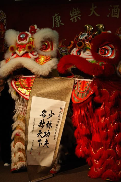 Chinese Lion Dance Costume, Chinese New Year Aesthetic, Chinese Culture Aesthetic, Chinese Dragon Dance, Lion Dragon, Chinese Lion Dance, Chinese Lion, Textiles Sketchbook, Festival Aesthetic