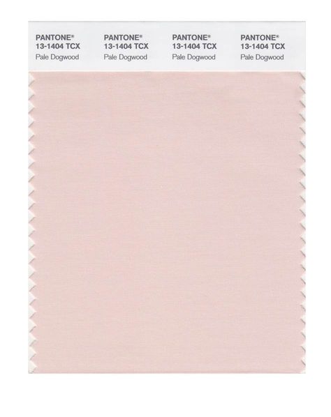 Pale Dogwood pantone Pale Dogwood Pantone, Pale Dogwood, Nude Color Palette, Historic Colours, Glamour Home, Magnolia Farms, Pink Dogwood, Pink Wall Art, Mood Board Fashion