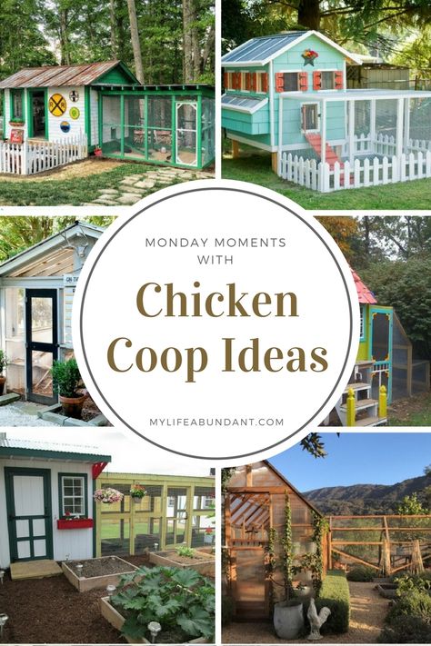 Multi Level Chicken Coop, Chicken Coupe Designs, Chicken Coupe Ideas, Chicken Coop Landscaping Ideas, Chicken And Duck Coop Combo, Colorful Chicken Coop, Chicken Coop Colors, Duck Raising, Chicken Coupe