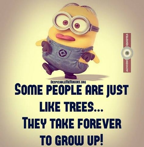 Crafting Quotes Funny, Facebook Mom, Cops Humor, Minion Jokes, Quotes For You, A Minion, Best Funny Jokes, Funny Minion Quotes, Minion Quotes