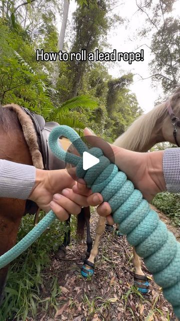 Diy Lead Rope, Tack Storage, Horse Hacks, Barn Hacks, Horse Lead, Roping Saddles, How To Roll, Saddle Horse, Horse Info