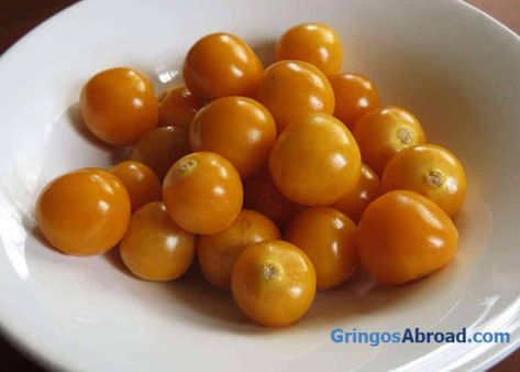 Goldenberry Recipes, Golden Berries Recipes, Ecuador Food, Golden Berry, Golden Berries, Cultural Dishes, Indian Gooseberry, Cape Gooseberry, Ecuador Travel