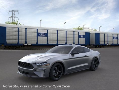 Ford Mustang vehicles - Hacienda Ford 2022 Ford Mustang, Ford Mustang Ecoboost, Mustang Ecoboost, Mustang For Sale, Ford Mustang For Sale, Ford Mustang Shelby Gt500, Mustang Mach 1, Lincoln Cars, Oxford White