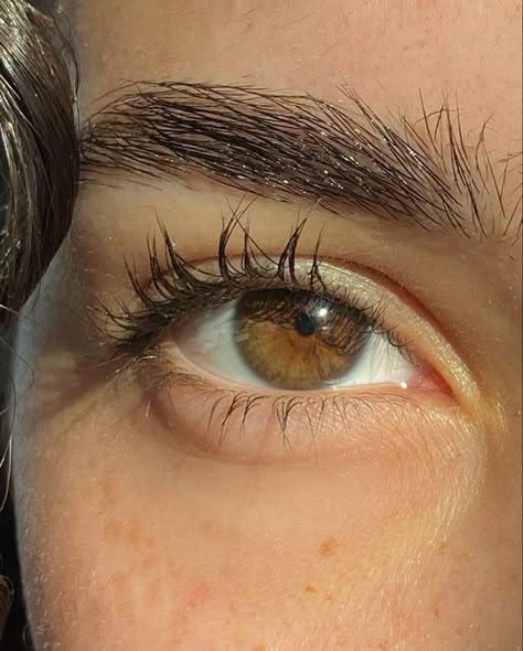 Hazel Eyes Brown Hair, Hazle Eyes, Hazel Eyes Aesthetic, Hazel Eyes Brown, Hazelnut Eyes, Dark Hazel Eyes, Beauty Subliminal, Pretty Eyes Color, Hazel Brown Eyes