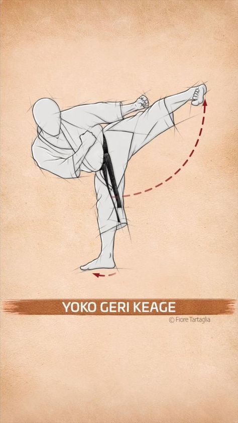 Karate Techniques, Shotokan Karate Kata, Aikido Techniques, Karate Moves, Fighter Workout, Karate Kata, Gym Workout Guide, Kyokushin Karate, Mma Workout