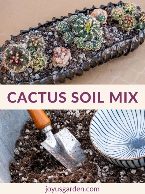 Cactus Mix Potting Soil, How To Make Cactus Soil, Diy Cactus Soil, Diy Succulent Soil, Cactus Soil Mix Diy, Succulent Soil Mix Diy, Potting Soil Mix Recipe, Planting Cactus, Cactus Indoors