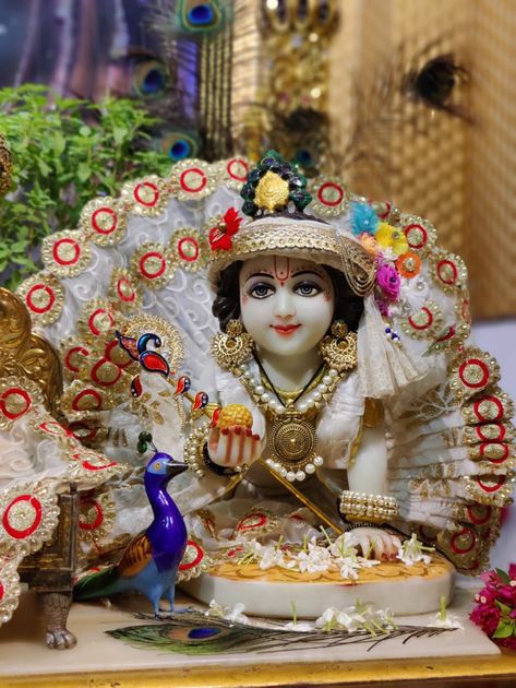 Laddu Gopal Pics For Wallpaper, Laddu Gopal Pics, Mera Krishna, Jay Swaminarayan, Laddoo Gopal, Good Morning Krishna, Khatu Shyam, Best Friends Cartoon, Pictures Of Shiva