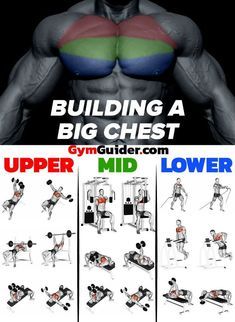 If you're boring and don't want to experience truly massive gains feel free to rep through endless standard bench press sets until your back fuses with the bench. You might get better at that one exercise  but you're spurning all of the potential benefits that other moves could offer. For the rest of us there's an entire treasure trove full of workout moves to be uncovered to blast the chest that can sculpt your pecs and push your upper body training days to the next level. Mass Monster, Chest Workout For Men, Chest Workout Routine, Latihan Dada, Best Chest Workout, Gym Workout Chart, Gym Workouts For Men, Trening Fitness, Muscle Building Workouts