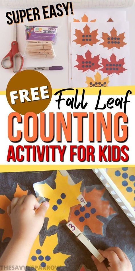 Preschool Fall Alphabet Activities, Fall Leaves Activities For Preschool, Introducing Fall To Preschoolers, Fun Fall Math Activities, Fall Leaf Counting Preschool, Fall Preschool Activities Math, Prek Leaves Activities, Fall Learning Centers Preschool, Fall Manipulatives For Preschool