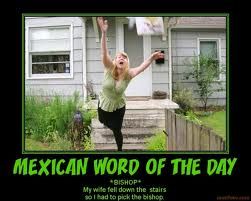 2013.02.24 letvent.com post---"Mexican Words of the Day" 3 Mexican Word Of Day, Mexican Word Of The Day, Funny Mexican Pictures, Mexican Words, Mexican Jokes, Mexican Humor, Funny As Hell, Funny Words, Word Of The Day