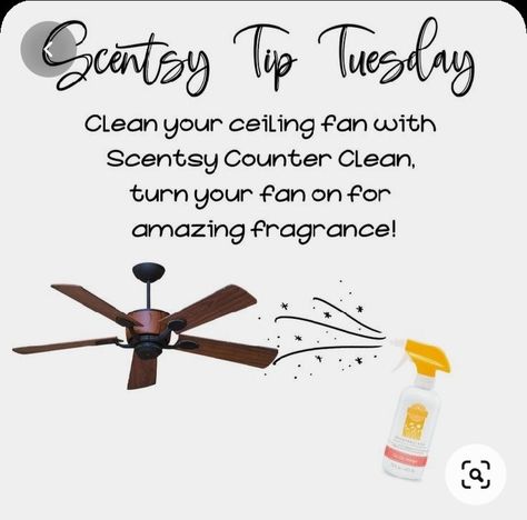 Scentsy Tip Tuesday, Scentsy Launch Party, Scentsy Counter Clean, Fragrance Boutique, Scentsy Hacks, Scentsy Clean, Business Launch Party, Scentsy Facebook Party, Scentsy Facebook