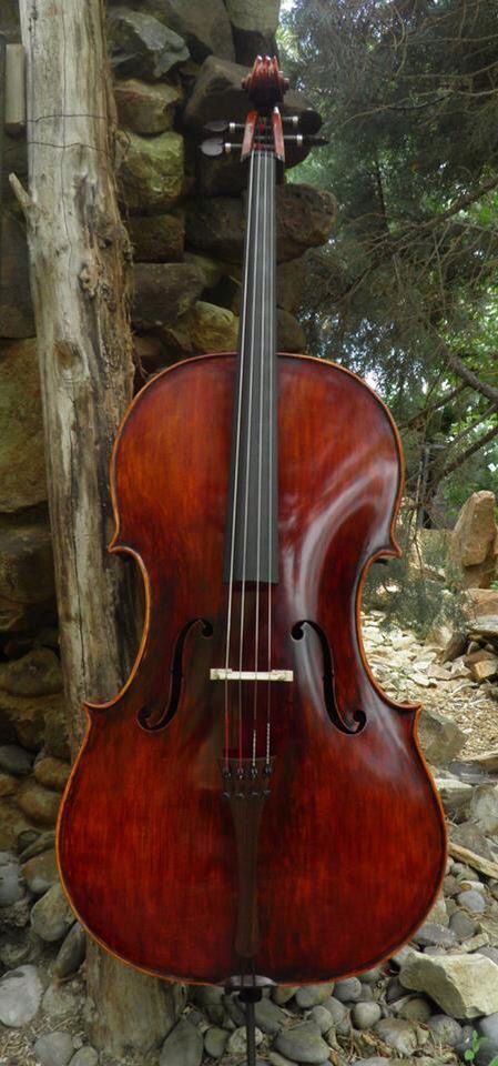 Cello Dark Cello Aesthetic, Chello Instruments, Cello Art, Cello Music, Cellos, Home Studio Music, Musical Art, String Instruments, Concert Hall