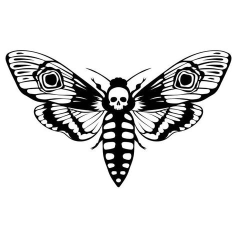 1,000+ Skull Moth Stock Photos, Pictures & Royalty-Free Images - iStock Watch Tattoo Design, Moth Drawing, Moth Tattoo Design, Skull Moth, Insect Tattoo, Deaths Head Moth, Hawk Moth, Moth Tattoo, Drawing Heads