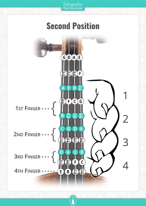 Did you already try to shift into the second violin playing position? Check out my article, I explain in it the benefits and what notes you play in 2nd position, how to shift to it, and more. Download the PDF booklet to get started right away! Are you ready to start playing in the second position on your violin? Please share in the comments – I’d love to know! #violin #music #lovemusic #practice #adultbeginner Violin Fine Tuners, Violin Fret Guide, Violin How To Play, Learn Violin At Home, Violin Chords For Beginners, How To Play Violin For Beginners, How To Play Violin, Violin Beginner Learning, Violin Practice Chart