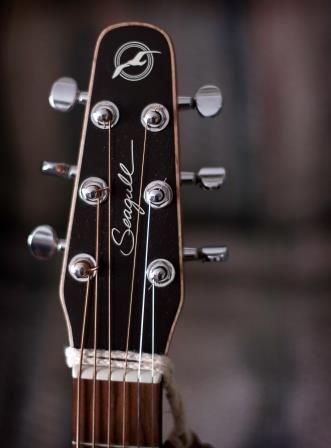 Seagull Guitar Serial Numbers: When Was Your Seagull Guitar Built Seagull Guitars, Bass Headstock, Taylor Gs Mini, Seagull Art, Guitar Headstock, Acoustic Guitar Case, Guitar Lessons Tutorials, Guitar Tuner, Acoustic Guitar Lessons