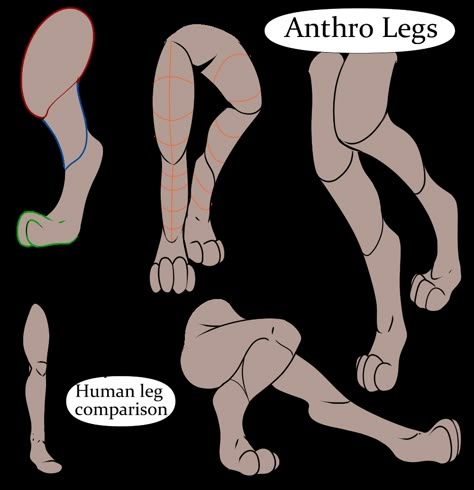 Drawing Anthropomorphic Animals by HeroDraws - CLIP STUDIO TIPS Anthro Paws Drawing, Back Paws Reference, Anthro Paw Reference, Drawing Tips Animals, Paws Art Reference, Drawing Anthropomorphic Animals, Anthro Base Drawing, Fursona Art Reference, Anthro Drawing Tips