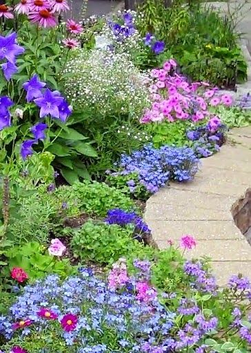 5th and state: How to add IMPACT to your Gardens Flowers And Greenery, Stone Path, Garden Images, Have Inspiration, The Secret Garden, Garden Borders, Gorgeous Gardens, Garden Cottage, Colorful Garden