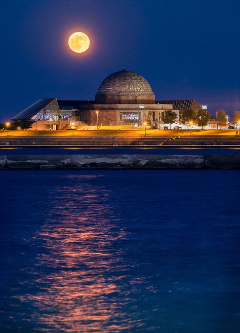 Adler Planetarium Chicago, Astronomy Museum, Adler Planetarium, Chicago Buildings, Travel Chicago, Chicago Museums, Chicago Vintage, City Of Chicago, Visit Chicago