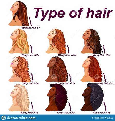 Hair Type Chart, Hairstyle Names, Curly Hair Types, Types Of Hair, Different Hair Types, Game Day Hair, Athletic Hairstyles, Curly Bob Hairstyles, Different Hairstyles