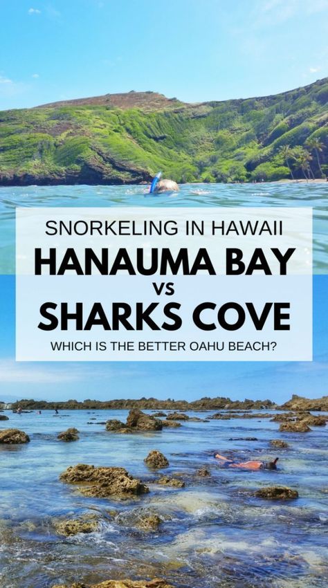 hawaii vacation ideas. best things to do in oahu hawaii itinerary. best snorkeling spots day trip waikiki, honolulu, north shore Hawaii Swimming, Beaches In Hawaii, Things To Do In Oahu, Usa Beach, Hawaii Packing, Hawaii Itinerary, Oahu Beaches, Oahu Vacation, Travel Destinations Usa