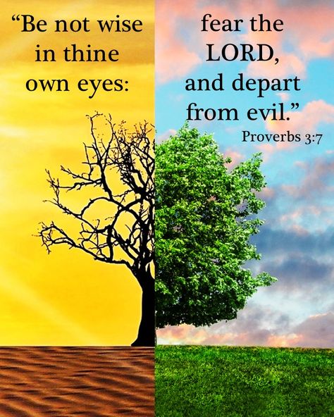 Proverbs 3:7 KJV – KJV Bible Verses Proverbs 3 7, Inspiring Bible Quotes, Evangelism Quotes, Kjv Bible Verses, Bible Wisdom, 5 Solas, Scripture Images, Bible Verses Kjv, God Speaks