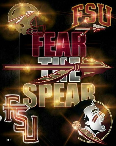 Noles Florida State Seminoles Wallpaper, Fsu Vs Miami, Fsu Vs Uf, Fsu Seminoles Football, Noles Football, Fsu Logo, Painting Bottles, Florida State Seminoles Logo, Florida State Seminoles Football