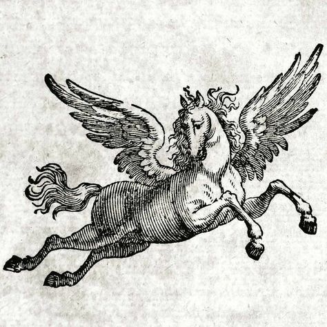 Woodcut Tattoo, Engraving Tattoo, Medieval Tattoo, Greek Tattoos, Traditional Tattoo Design, Engraving Illustration, Horse Tattoo, Graphic Poster Art, Inspirational Tattoos