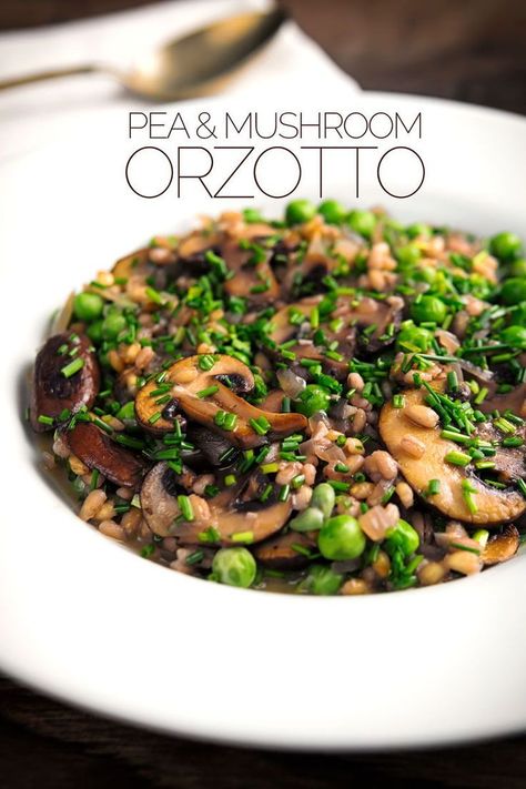 Orzotto Recipe, Best Risotto, Barley Risotto, Barley Recipe, Meat Free Recipes, Pearl Barley, Italian Recipe, Sicilian Recipes, Risotto Recipes